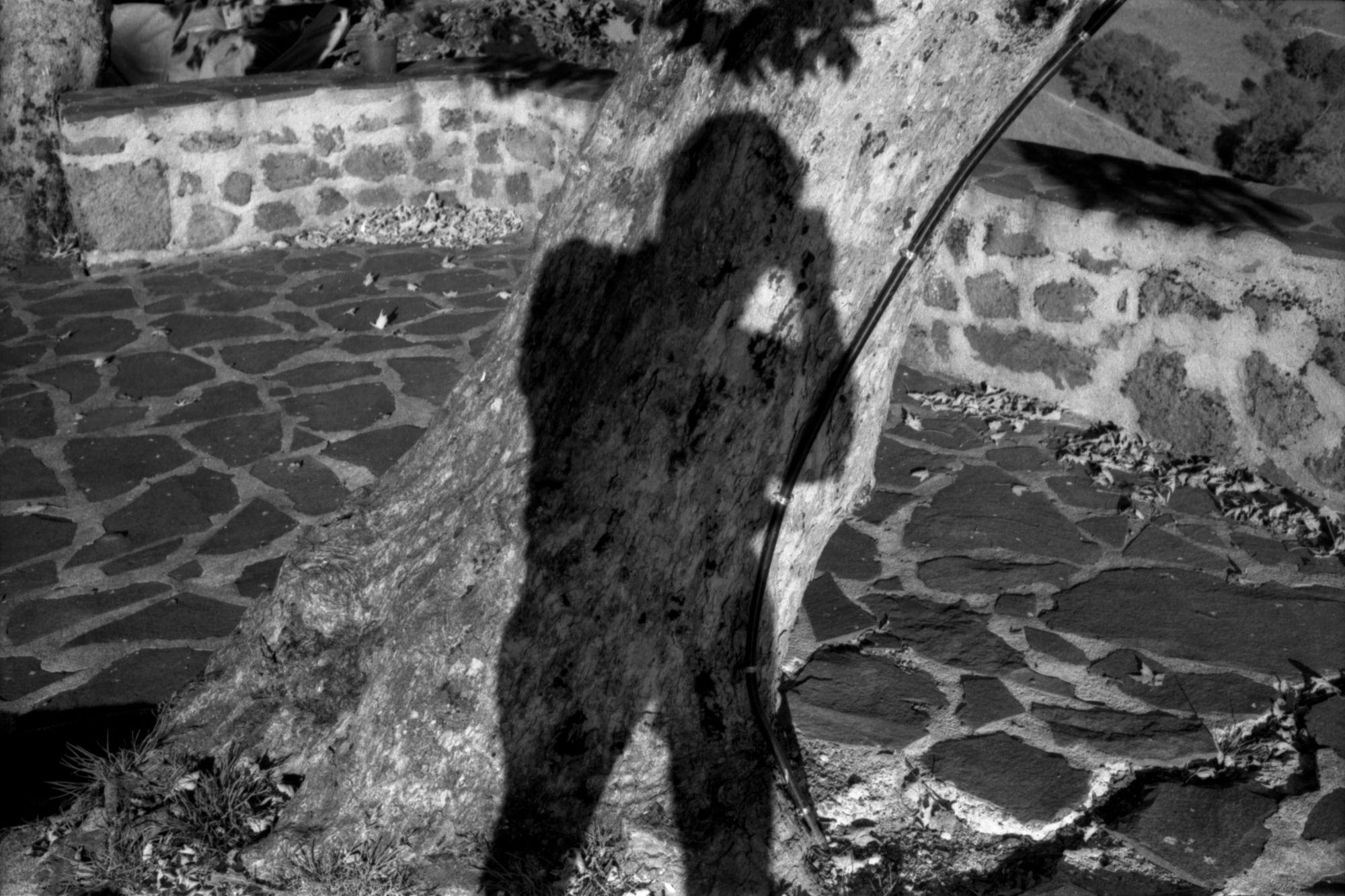 Stages et missions photographiques de l'ESA "Le 75" dans le Cantal